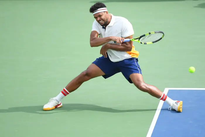 Jo Wilfried Tsonga (Fra)