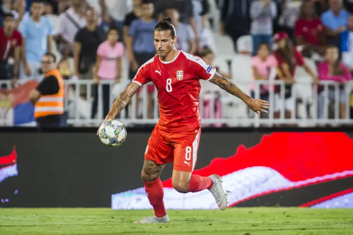 Aleksandar Prijovic of Serbia tries to control the loose ball