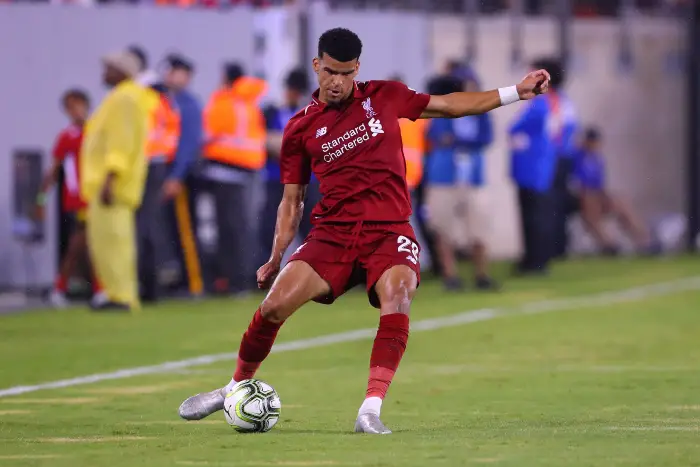 EAST RUTHERFORD, NJ - JULY 25:  Liverpool forward Dominic Solanke (29) passes the ball  during the second half of the International Champions Cup Soccer game between Liverpool and Manchester City on July 25, 2018 at Met Life Stadium in East Rutherford, NJ.