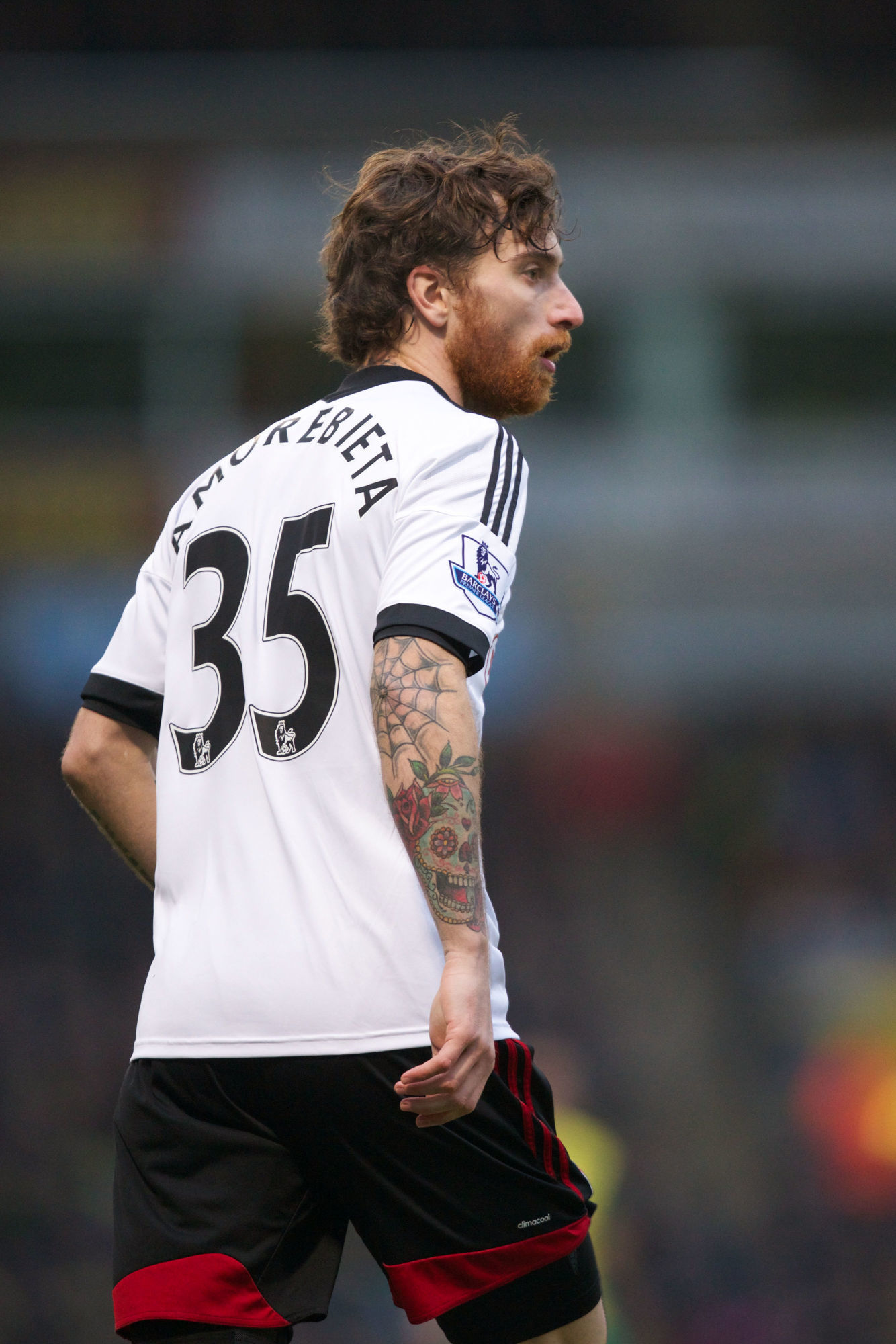 Fernando Amorebieta - 26.12.2013 - Norwich / Fulham - 18eme journee de Premier League
Photo