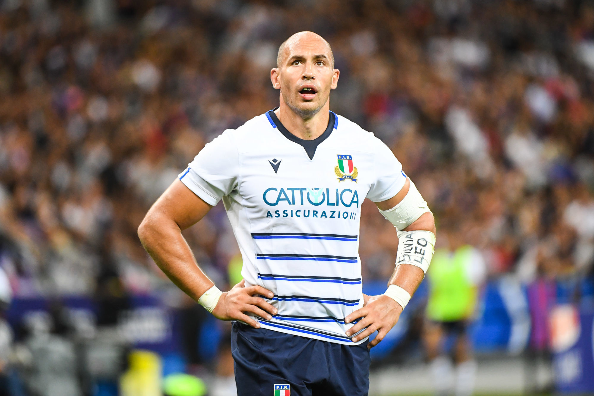Sergio Parisse of Italy during the International Friendly match between France and Italy on August 30, 2019 in Paris, France. (Photo by Sandra Ruhaut/Icon Sport) - Sergio PARISSE