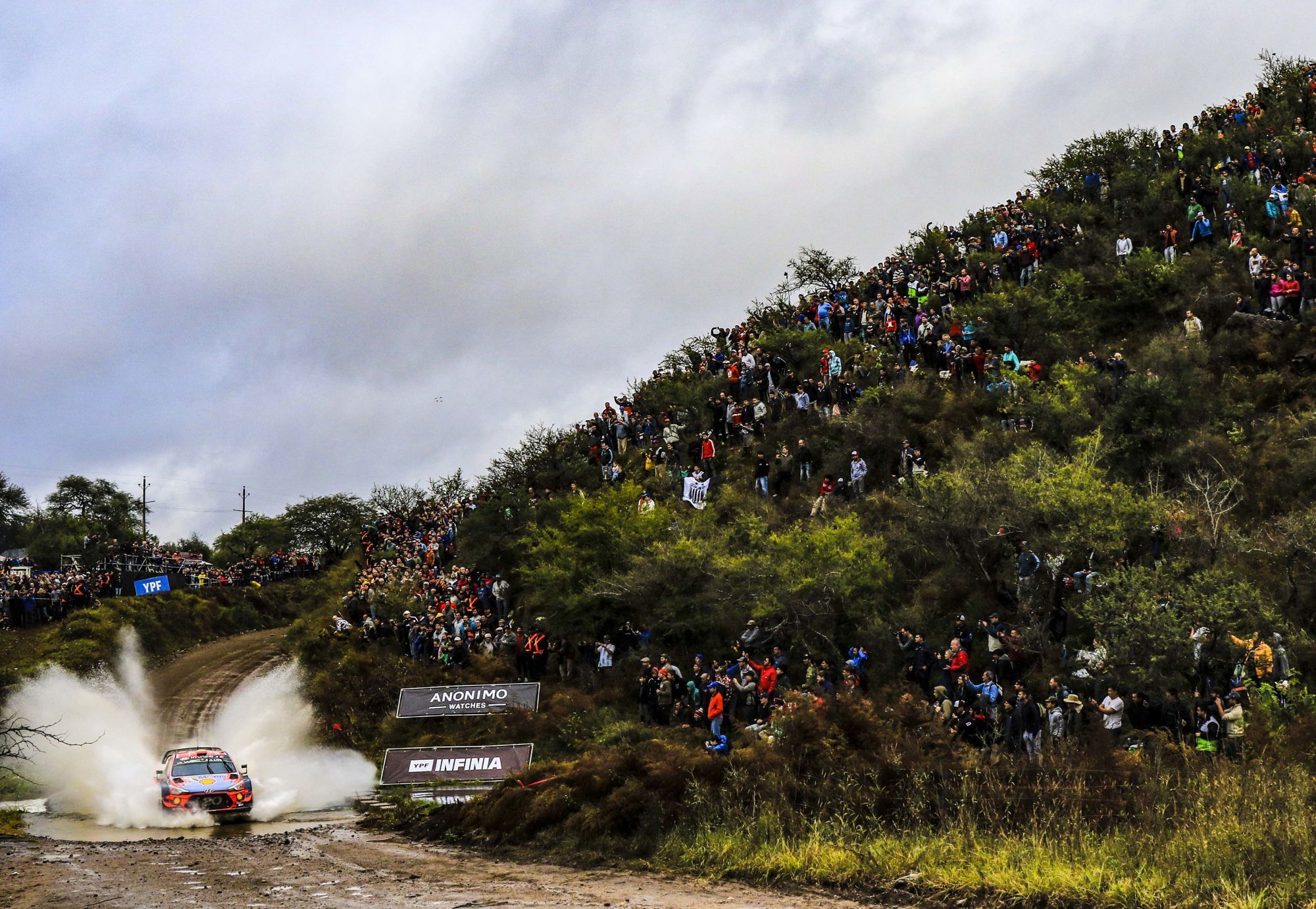 Dani Sordo Hyundai i20 WRC Rallye d'Argentine.
Photo : Xpb / Icon Sport