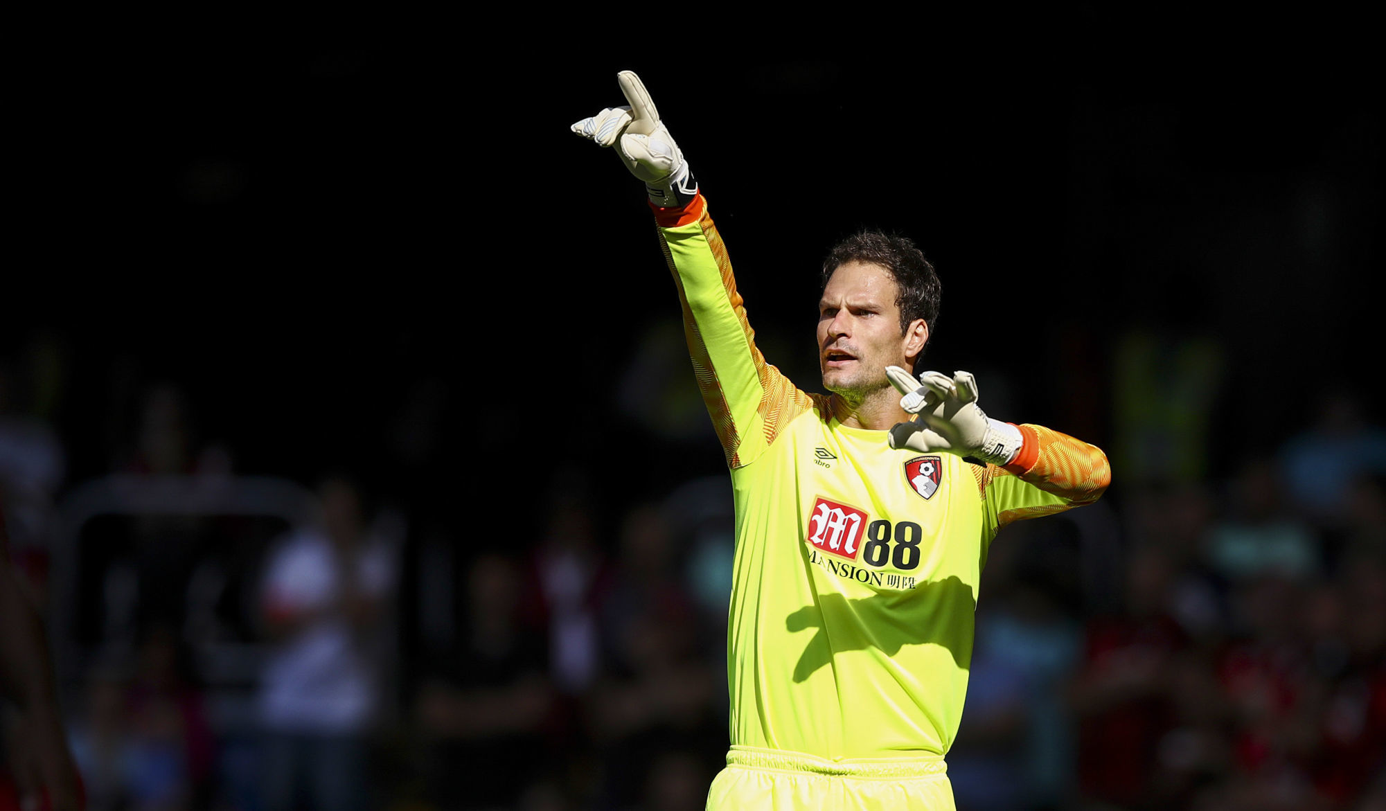 Bournemouth goalkeeper Asmir Begovic during the Premier League match between Chelsea and Bournemmouth at Stamford Bridge, London, on September 1st, 2018.
Photo : PA Images / Icon Sport