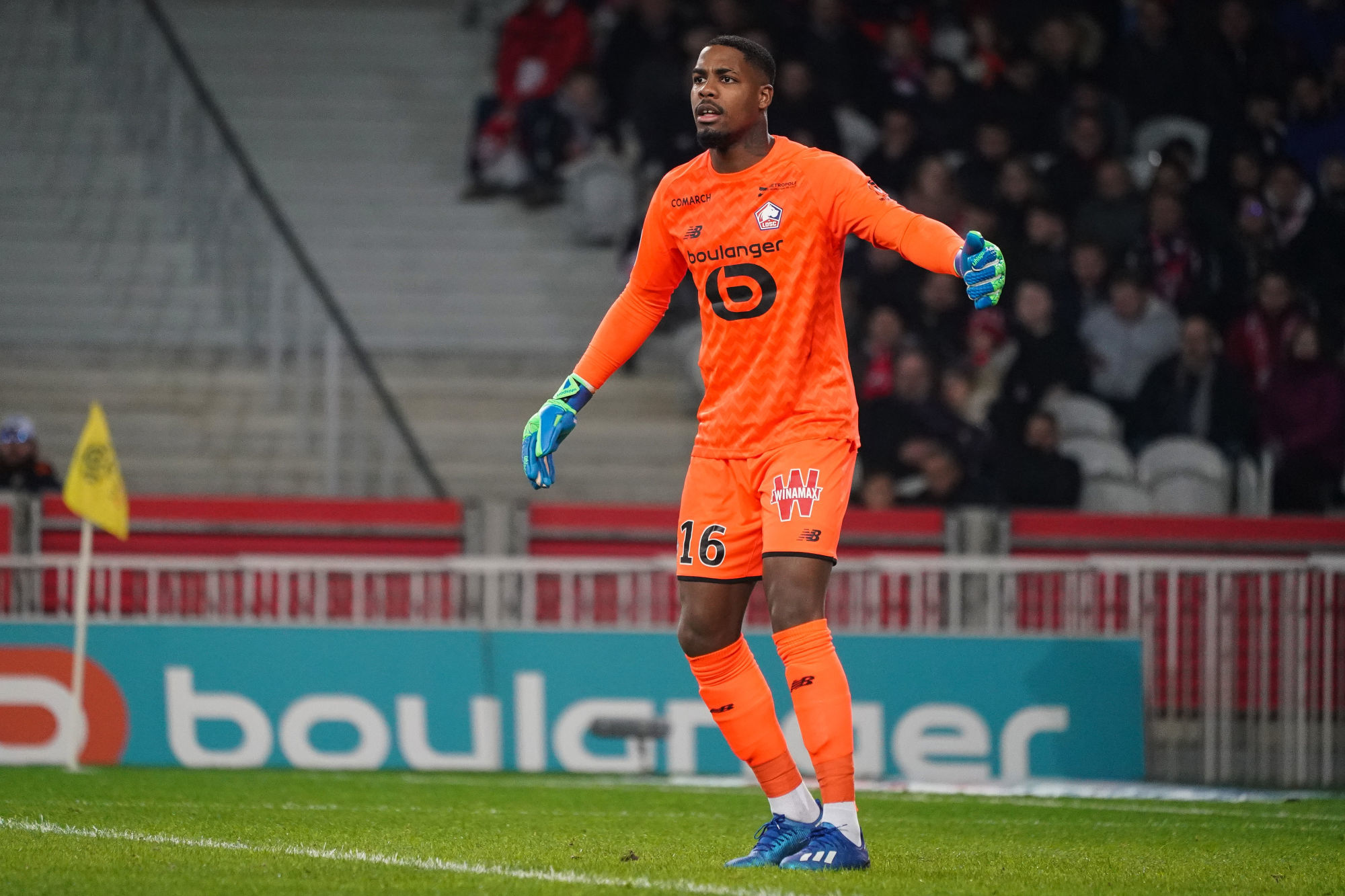 Mike MAIGNAN of Lille during the Ligue 1 match between Lille OSC and Rennes at Stade Pierre Mauroy on February 4, 2020 in Lille, France. (Photo by Pierre Costabadie/Icon Sport) - Stade Pierre Mauroy - Lille (France)