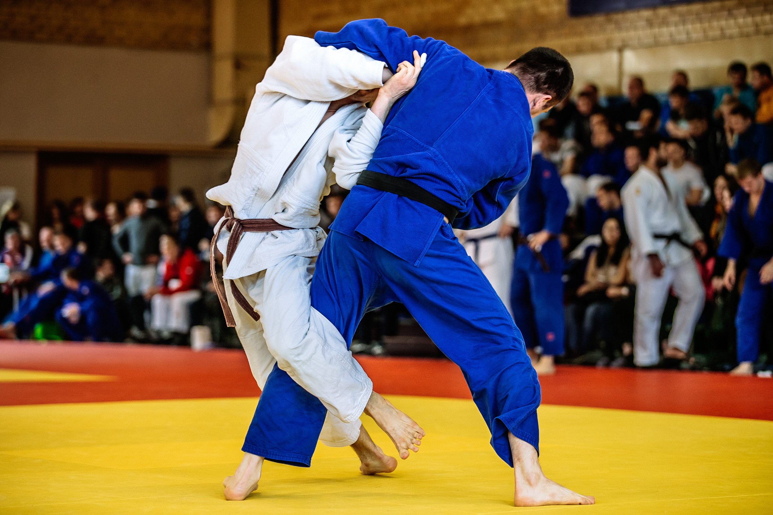 Judo générik