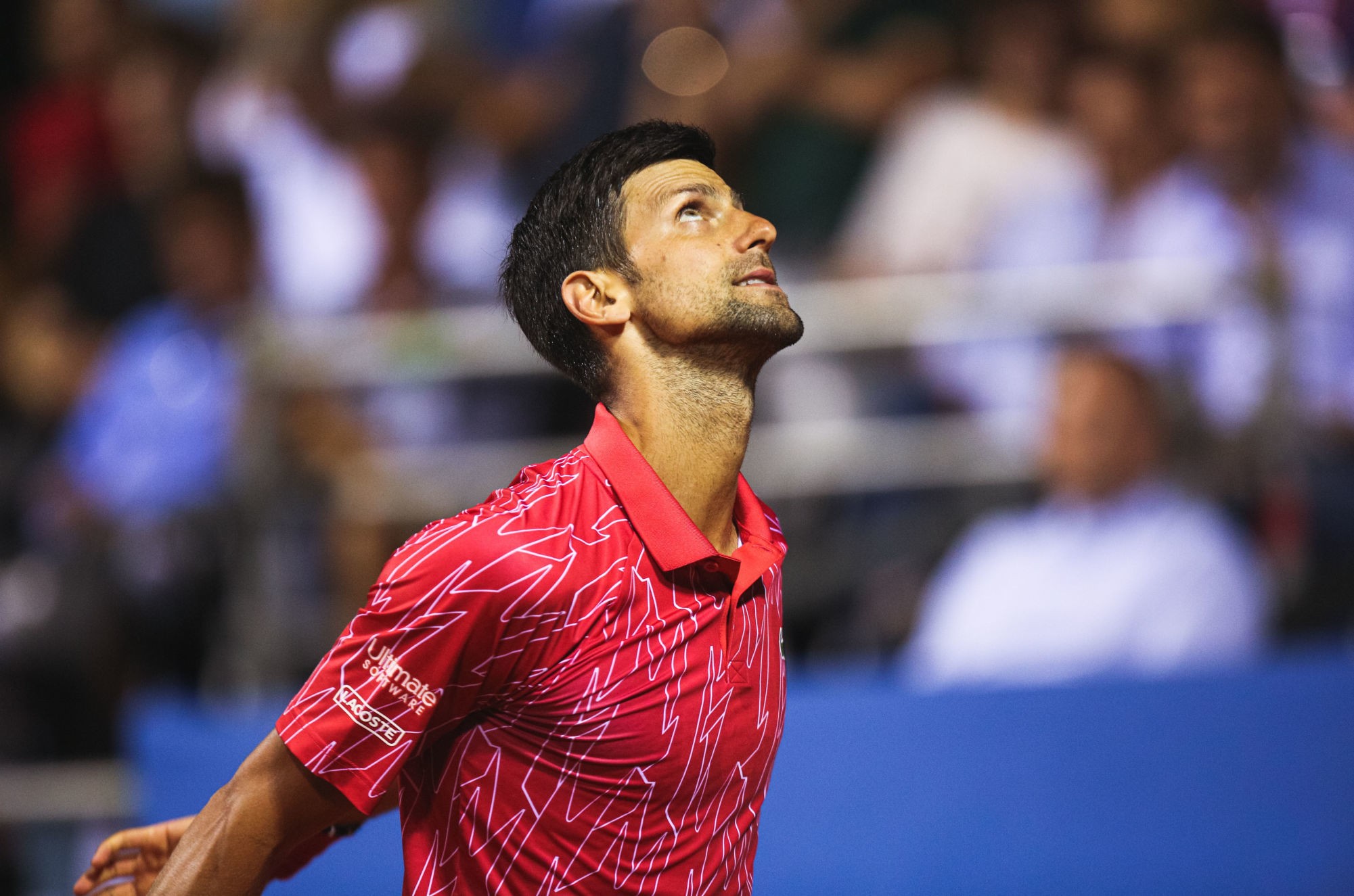 Novak Djokovic
Photo : Icon Sport