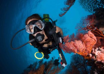 Vous n’avez jamais testé la plongée sous-marine ? Jetez-vous à l’eau ! © Daniel Wilhelm Nilsson/Shutterstock