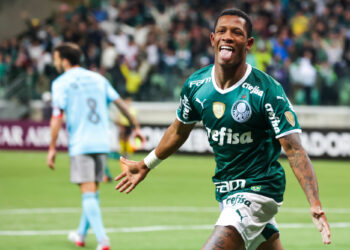 Danilo Palmeiras By Icon Sport