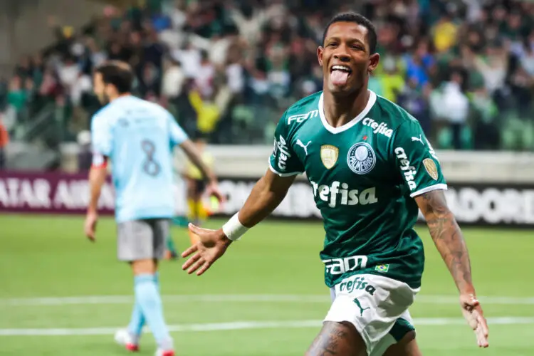 Danilo Palmeiras By Icon Sport