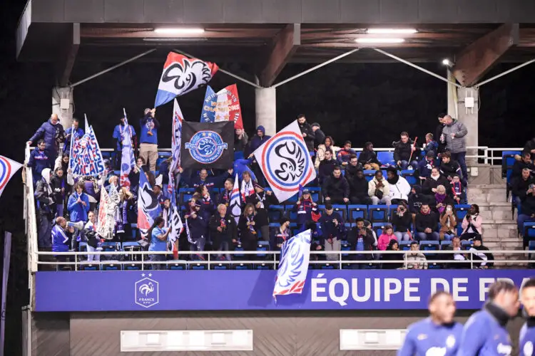 Supporters Equipe de France football
