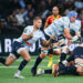 Racing 92 - USAP Top 14 By Icon Sport