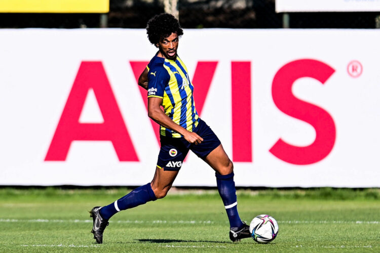 Luiz Gustavo
(Photo by Icon sport)