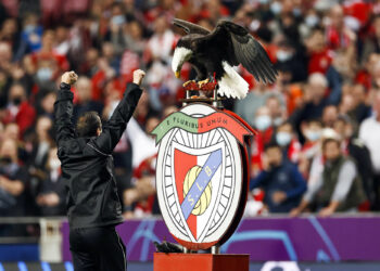 LISBON - Eagle mascot of Benfica during the Champions League match between Benfica and Ajax at Estadio da Luz on February 23, 2022 in Lisbon, Portugal. ANP MAURICE VAN STEEN - Photo by Icon sport
