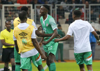 Niger (Photo by Icon sport)