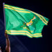 A Springboks flag. PA Images / Icon Sport