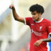 Preston, England, 7th August 2023. Luis Diaz of Liverpool during the Friendly match match at Deepdale, Preston. Picture credit should read: Gary Oakley / Sportimage - Photo by Icon sport