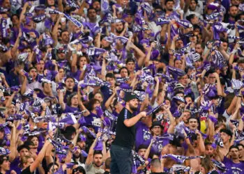 Fans of Toulouse (Photo by Anthony Dibon/Icon Sport)