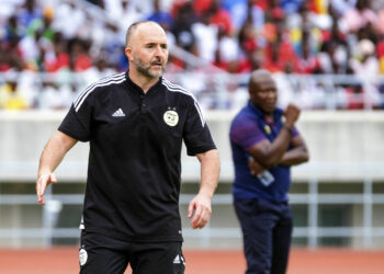 Djamel Belmadi, head coach of Algeria during the FIFA World Cup Qualifiers 2026 game between Mozambique and Algeria at Estadio do Zimpeto in Maputo, Mozambique on 19 November 2023 - Photo by Icon sport