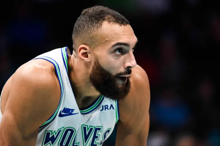 Dec 2, 2023; Charlotte, North Carolina, USA; Minnesota Timberwolves center Rudy Gobert (27) in a time out during the second half against the Charlotte Hornets at the Spectrum Center. Mandatory Credit: Sam Sharpe-USA TODAY Sports/Sipa USA - Photo by Icon sport