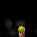 tennis (Photo by Hugo Pfeiffer/Icon Sport)