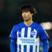 Brighton and Hove Albion's Kaoru Mitoma during the Premier League match at the American Express Stadium, Brighton and Hove. Picture date: Wednesday December 6, 2023. - Photo by Icon sport