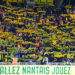 Fans of Nantes (Photo by Daniel Derajinski/Icon Sport)