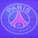 Illustration of the PSG logo during the Womens D1 Arkema match between Football Club Fleury 91 and Paris Saint-Germain at Stade Robert Bobin on February 2, 2024 in Bondoufle, France. (Photo by Daniel Derajinski/Icon Sport)   - Photo by Icon Sport