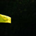 Apr 9, 2023; Augusta, Georgia, USA; A detail view of the flagstick on the 13th green during the final round of The Masters golf tournament. Mandatory Credit: Kyle Terada-USA TODAY Network/Sipa USA - Photo by Icon sport   - Photo by Icon Sport