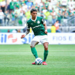 Rios avec Palmeiras